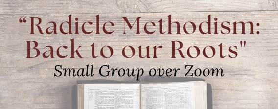 LH MailChimp_RadicleMethodists