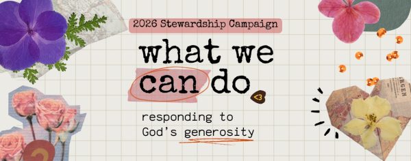 LH MailChimp_stewardship